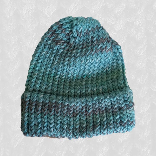 Beanie Medium: Adult and Teenager: Chameleon