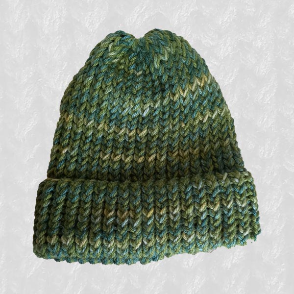 Beanie Medium: Ryan's Chameleon