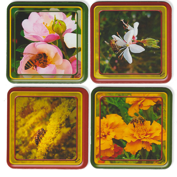 Multipack: Bee flowers (4 Coasters)