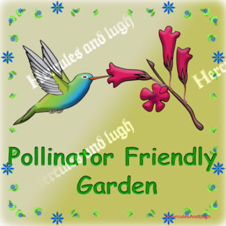 Pollinator Friendly Garden