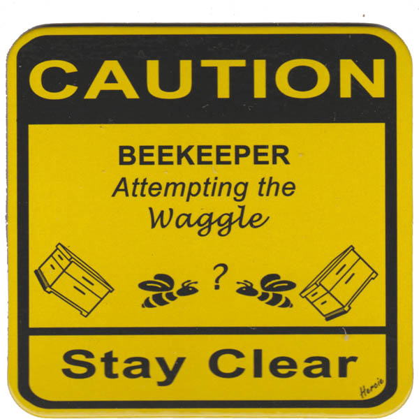 Attempting the Waggle