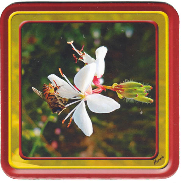 Bee On Butterfly Bush