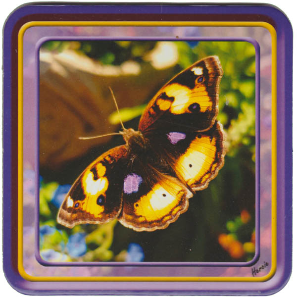 Large Purple Butterfly