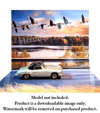 HDR0097 Printable Background- Geese1