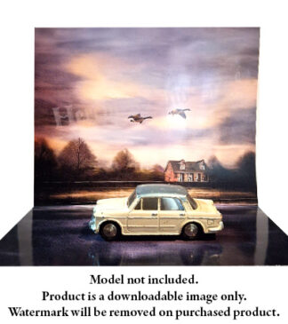 HDR0098 Printable Background- Geese2