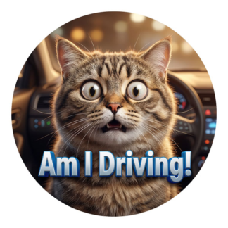 Vehicle license disk stickers