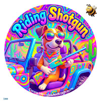 Vehicle License disk sticker Shotgun