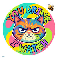 Vehicle License disk sticker Watching