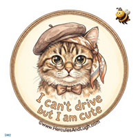 Vehicle License disk sticker Cute