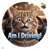 Vehicle License disk sticker(cat)