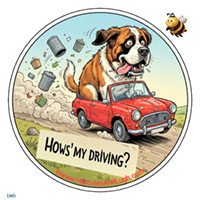 Vehicle License disk sticker Driving