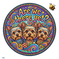 Vehicle License disk sticker ThereYet