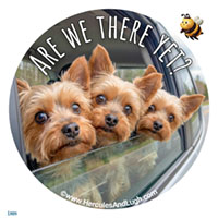 Vehicle License disk sticker ThereYet 2