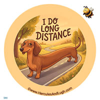 Vehicle License disk sticker Distance