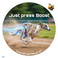 Vehicle License disk sticker Boost