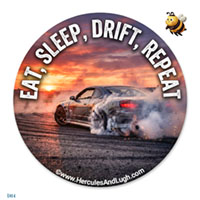 Vehicle License disk sticker Drift
