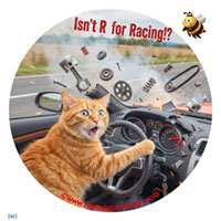 Vehicle License disk sticker RRR