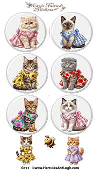 Adorable cats 1