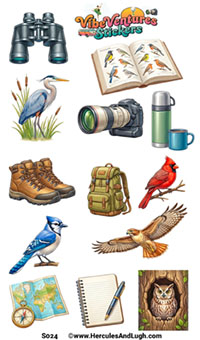 Bird Watching