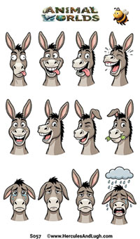 Donkey funny faces