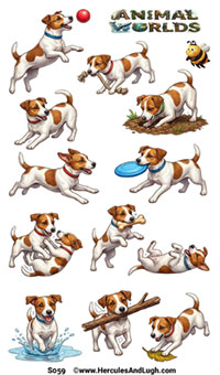 Jack Russel Happiness