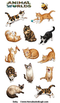 Cats1