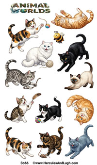 Cats2