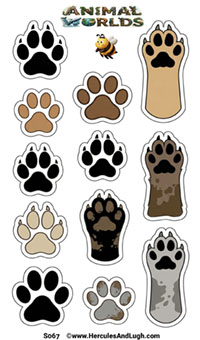 Dog paws