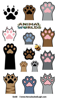 Cat paws