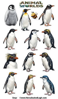 Penguins